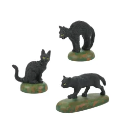 A Clowder Of Black Cats