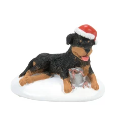 A Perfect Gift For Snots