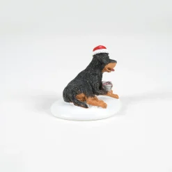 A Perfect Gift For Snots