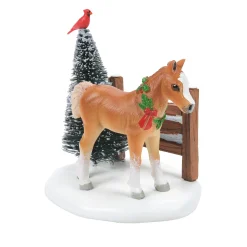 Cardinal Christmas Pony