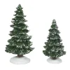 Christmas Spruces st/2