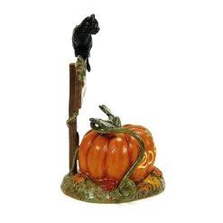 Feline Noir Debut, 2024