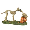 Haunted Pets At Play