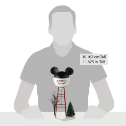 Mickey Water Tower