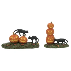 Scary Cats Pumpkins ST/2